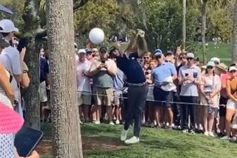 Max Homa almost hits nearby fan in head with shot at Players Championship in ‘scary’ video
