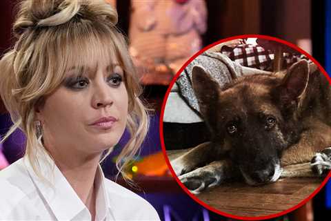 Kaley Cuoco Announces Death of Her Dog, Blue