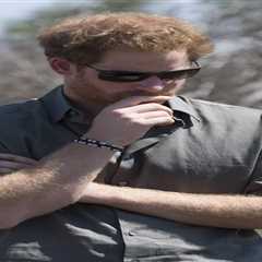 Prince Harry urged to step down from wildlife charity amid horror claims