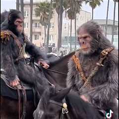 'Apes' Hit Venice Beach on Horseback for New 'Planet of the Apes' Promo