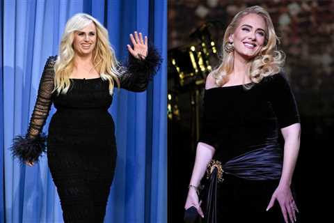 Rebel Wilson Believes Adele ‘Hates’ Her Because of ‘Fat Amy’ Comparisons: ‘People Would Confuse Us’