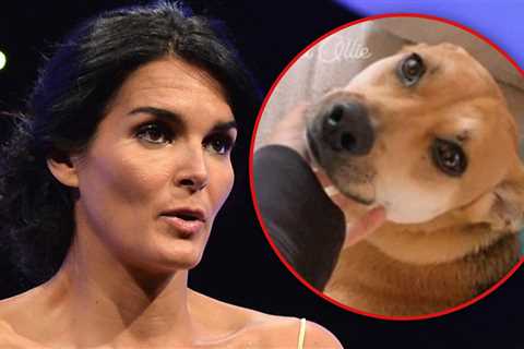 Angie Harmon's Deceased Dog Did Bite Instacart Worker, Cops Claim