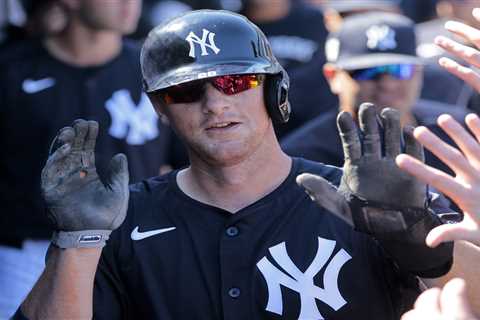 DJ LeMahieu set for final rehab step before Yankees return