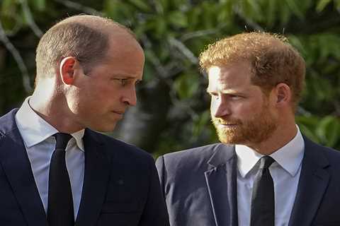 Prince Harry unlikely to meet William on UK trip, keen to see Charles, insider reveals