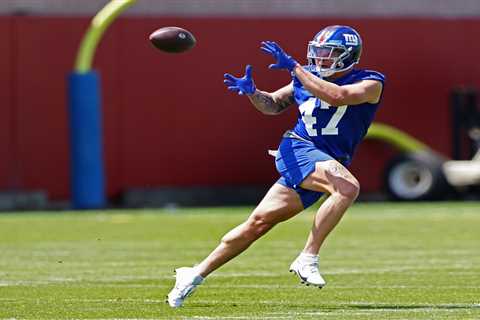 How Giants rookie Theo Johnson’s journey is inspired by the mother who saved their family from a..