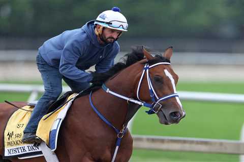 Preakness Stakes favorite Muth scratched with fever