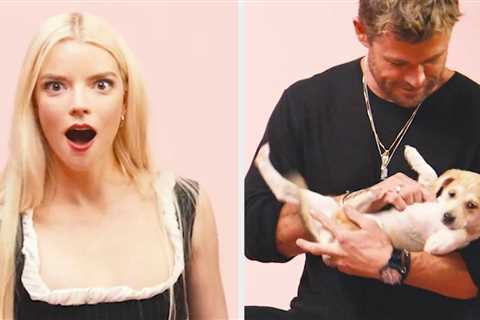Anya Taylor-Joy And Chris Hemsworth Just Did The Puppy Interview, And Now It's My New Favorite Thing