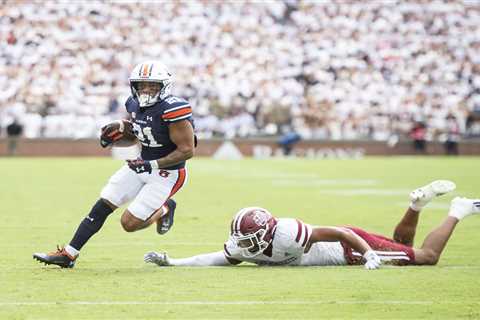 Auburn running back Brian Battie on ventilator after shooting that killed brother