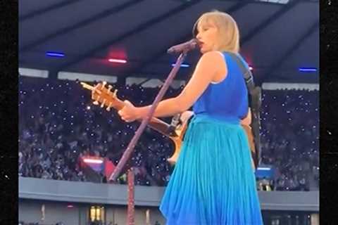 Taylor Swift Shuts Down Show Until Security Helps Fan in Viral Video