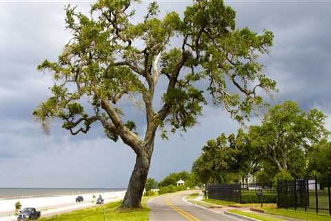 The Vibrant Theater Scene in Gulfport, MS