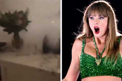 A Video Of Taylor Swift Extinguishing A Fire In Her Kitchen Is Going Viral