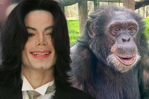 Michael Jackson Would Be Happy With Bubbles the Chimp's Life, Says Sanctuary