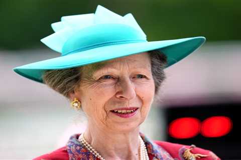 Princess Anne Treated at State-of-the-Art Hospital for Head Injury