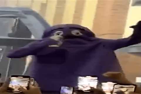 Fan in Grimace costume chugs beer during rain delay in wild Subway Series scene