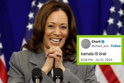 Confused On What “Kamala Is Brat” Means? I Gotchu