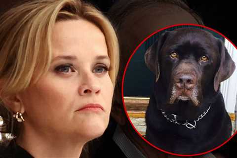 Reese Witherspoon Mourns Death of Longtime Family Dog