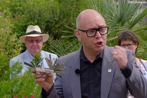 Antiques Roadshow Expert Accidentally Stabs Himself with Knife on TV