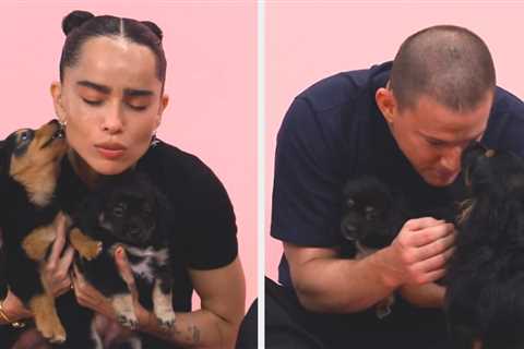 Zoë Kravitz And Channing Tatum Of Blink Twice Were Attacked With Licks And Cuddles While Taking Our ..