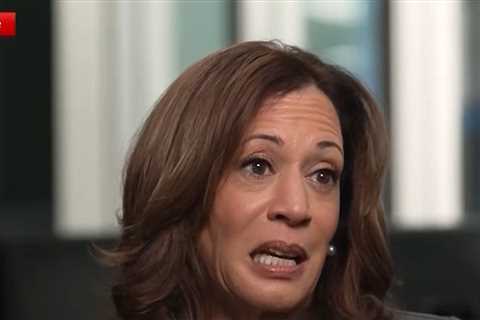 Kamala Harris Recalls Moment President Biden Told Her He Was Dropping Out of Race