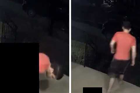 Louisville Porch Pooper Strikes Again, Twice More Since Going Viral