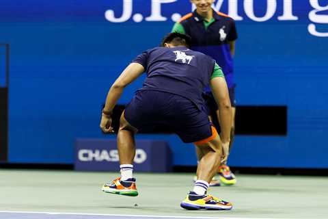 Bug invades US Open court, creating chaos in hilarious moment