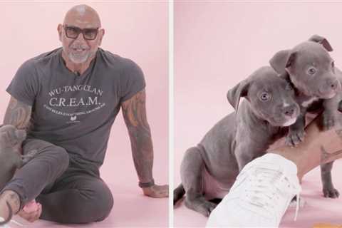 Dave Bautista, A Dog Dad To Four Pit Bulls, Just Did Our Puppy Interview, And It's So Adorable