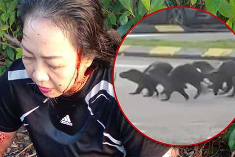 Jogger Covered In Blood After Violent Otter Attack