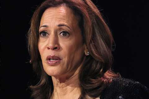 Gunfire Damages Kamala Harris Marketing campaign Workplace in Arizona