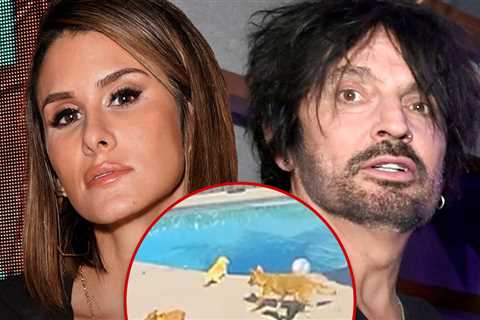 Tommy Lee & Brittany Furlan’s Dog Snatched By Coyote From Their Backyard