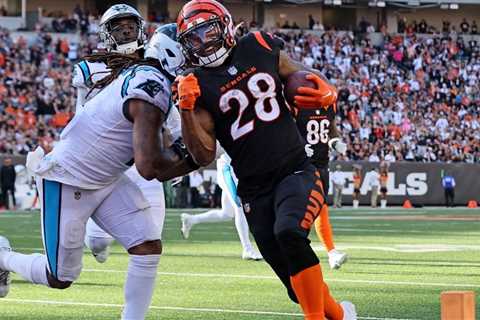 Watch NFL Cincinnati Bengals vs Carolina Panthers Today Free: Time, Stream & Channel
