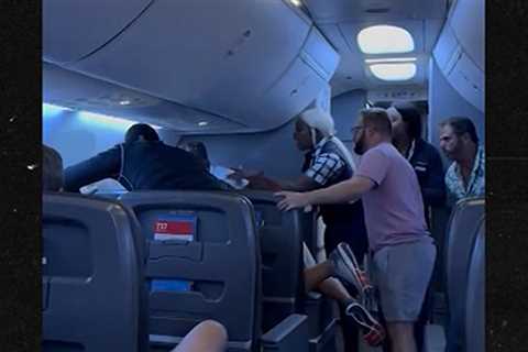 American Airlines Passenger Subdued in Intense Altercation on Video