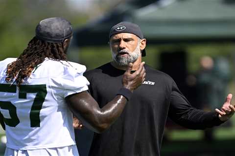 Jeff Ulbrich tasked with turning around Jets’ calamity