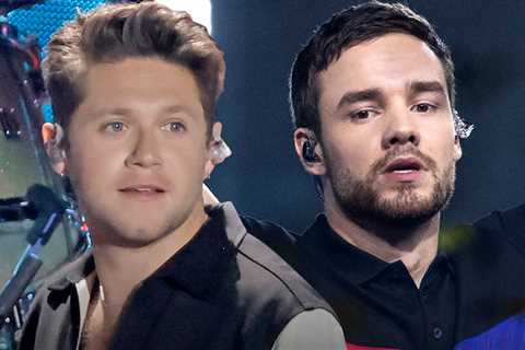 Niall Horan Recalls Final Meeting With Liam Payne Before His Death