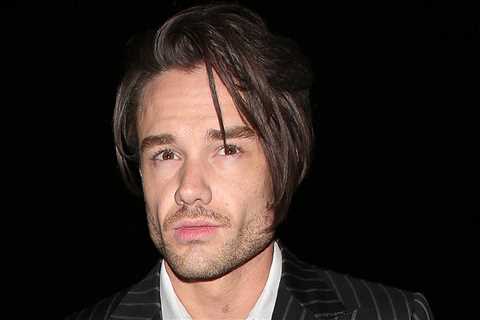 Liam Payne Told People He Was Sober, Seemed in 'Good Spirits' Months Before Death