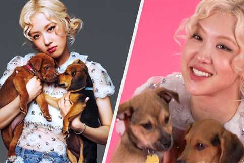 The Rosé Puppy Interview Is Finally Here, And It's As Cute As We Expected
