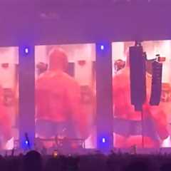 DJ Alison Wonderland Uses Mike Tyson's Bare Ass in Visuals For Concert