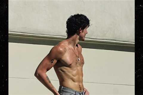 Shawn Mendes Shows Off Ripped Muscles In New Shirtless Photos