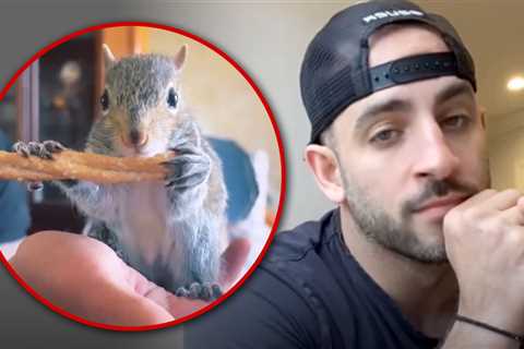 Peanut the Squirrel Raid May Have Actually Had To Do With Porn On OnlyFans