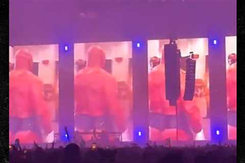 DJ Alison Wonderland Uses Mike Tyson's Bare Ass in Visuals For Concert