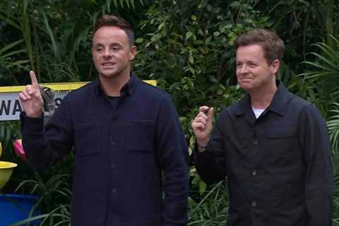 Ant McPartlin and Dean McCullough's Face-off on I'm A Celebrity Sparks Feud Speculations