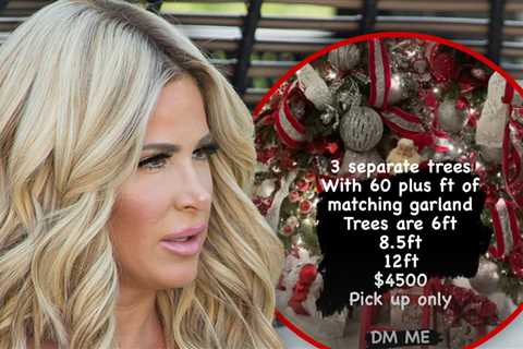 Kim Zolciak Resorts to Selling Christmas Trees Amid Financial Woes