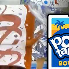 Pop-Tart Mascots 'Strip' On Field Before Bowl Game