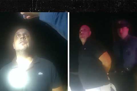 Body Cam Shows Suspect Sean Higgins' Arrest After NHL Star Johnny Gaudreau, Brother Killed