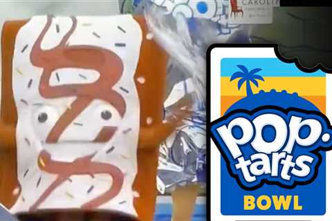 Pop-Tart Mascots 'Strip' On Field Before Bowl Game