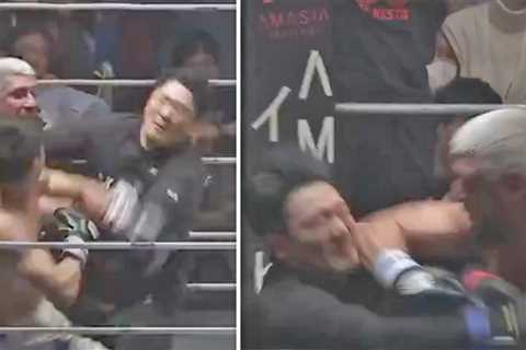 Boxing Referee Gets Punched In Face Multiple Times During Match