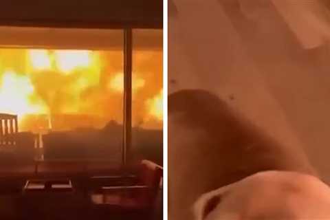 Terrifying Video Shows People and Dog Trapped Inside Home With Fires Raging