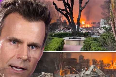 Soap Star Cameron Mathison's Home Burns in L.A. Fires, Vid Shows Ruins