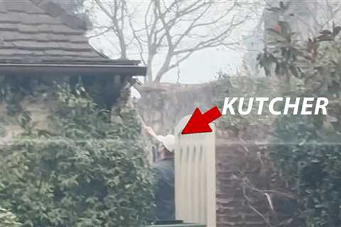 Ashton Kutcher Tries to Protect Friend's Home From Wildfire With Garden Hose