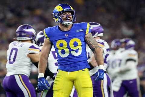 Rams tight end Tyler Higbee hospitalized with injury after playoff win