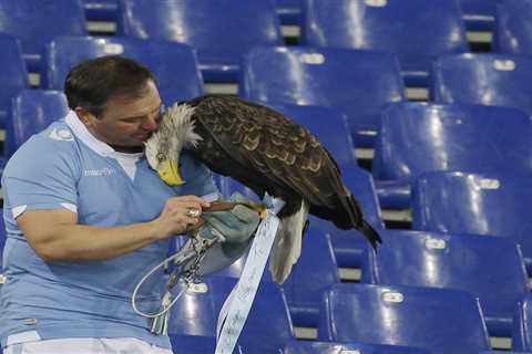 Italian soccer team Lazio fires falconer for posting penis photos after enhancement surgery
